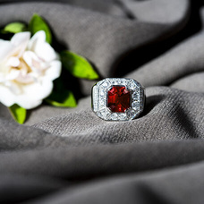 Instagram photo gallery